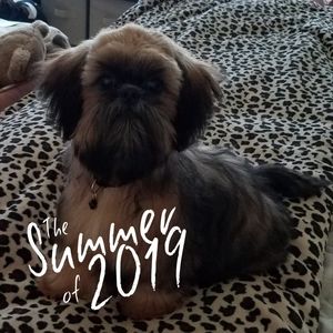 Meet your Posher, Kelly